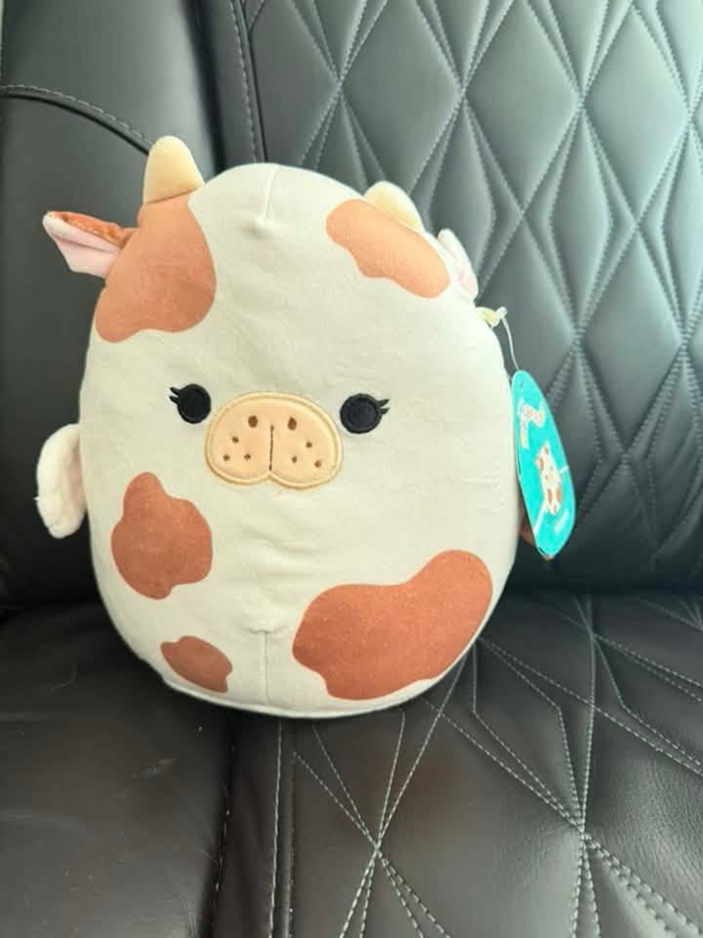 NWT Squishmallow